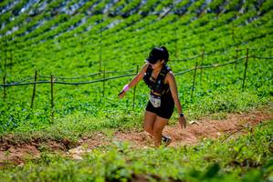 BIB: 
                            <button type="button" onclick="openModal(19164254)" class="btn btn-primary btn-sm float-right btn-popup" data-toggle="modal" data-target=".modal-high-quality">
                        <i class="fas fa-shopping-cart"></i> Add to Cart
                    </button>
                                            <button type="button" onclick="isThisMe(19164254, true)" class="btn btn-success btn-sm float-right btn-popup btn-isme hidden" data-toggle="tooltip" data-placement="bottom" title="นี่คือรูปของคุณใช่ไหม คลิกที่นี่เพื่อเอาเข้าอัลบั้ม">
                        <i class="fas fa-plus"></i> Add to album
                    </button>
                    <button type="button" onclick="isThisMe(19164254, false)" class="btn btn-warning btn-sm float-right btn-popup btn-isnotme hidden">
                        <i class="fas fa-ban"></i> Remove from album
                    </button>